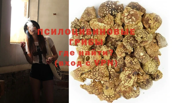 тгк Белокуриха