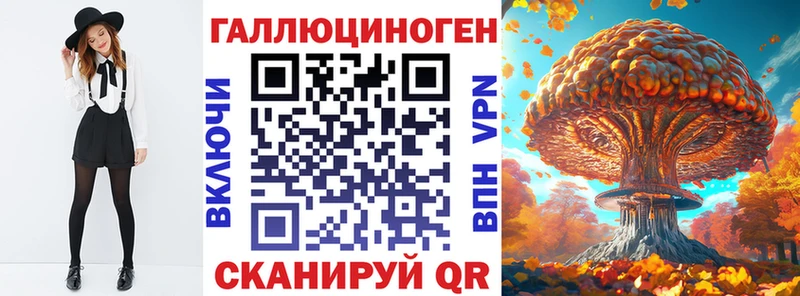 где можно купить   Макаров  Галлюциногенные грибы мицелий 