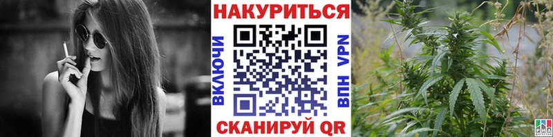 где купить наркотик  Макаров  Бошки марихуана гибрид 
